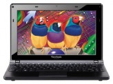 Ремонт ноутбука Viewsonic VNB100